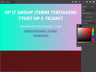  WEB EDİTÖR 