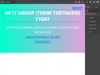  WEB EDİTÖR 